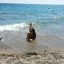 Знакомства: Unknown, 45 лет, Черкассы